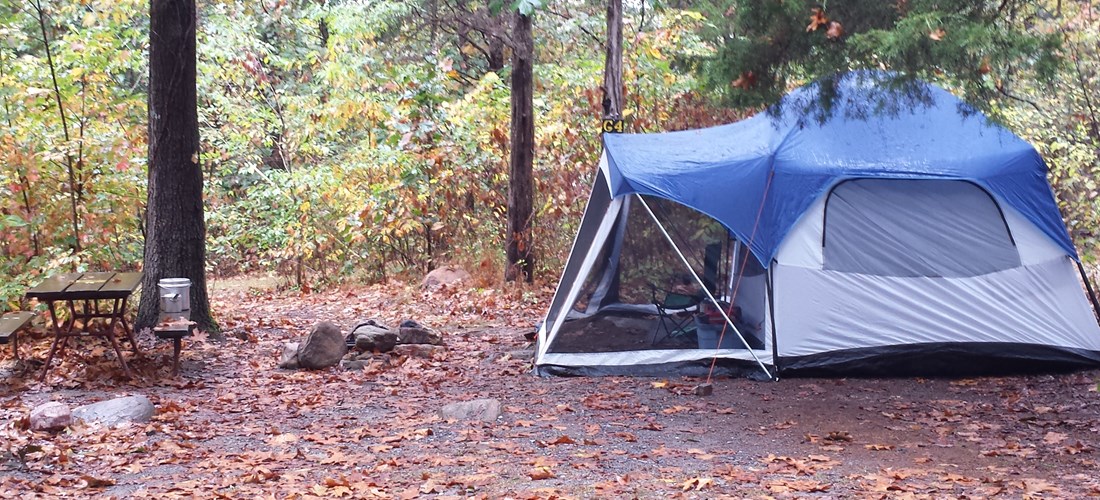 Harrisonburg Shenandoah Valley KOA  tent sites.
Tent site G4