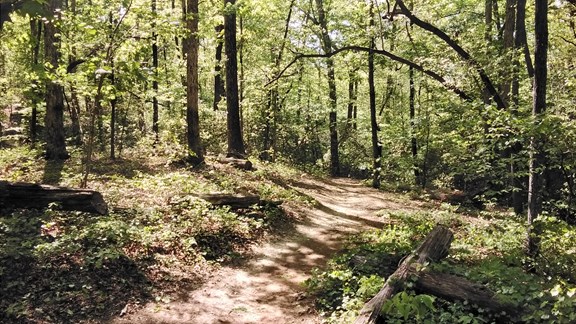 Hiking & Biking Trail