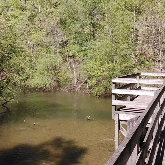 Plan a trip to Lake City, Georgia