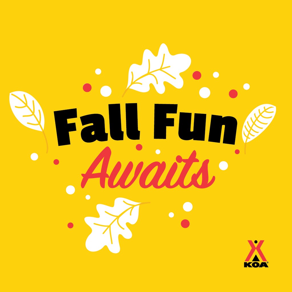Fall Adventures Await