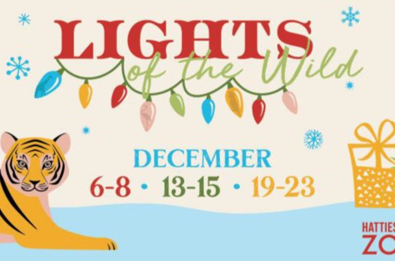Lights of the Wild Photo