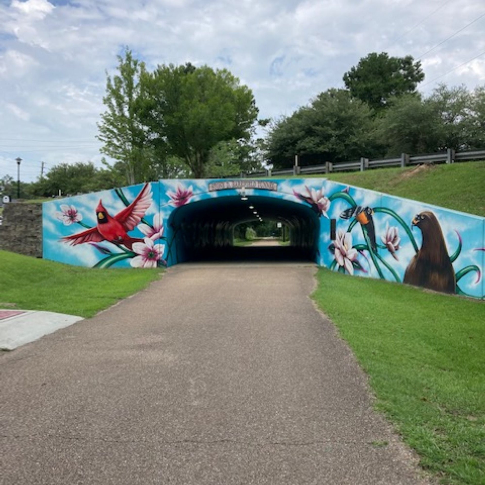 Hattiesburg, Mississippi Area Attractions and Activities Hattiesburg