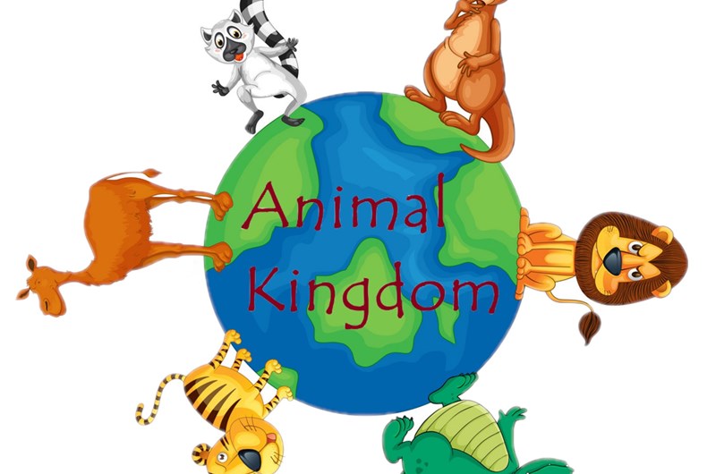 Animal Kingdom Photo