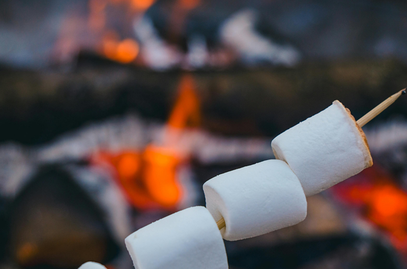 Northwoods Campfire Classics Photo