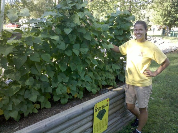 Enjoy Fresh Produce from our Organic Gardens!