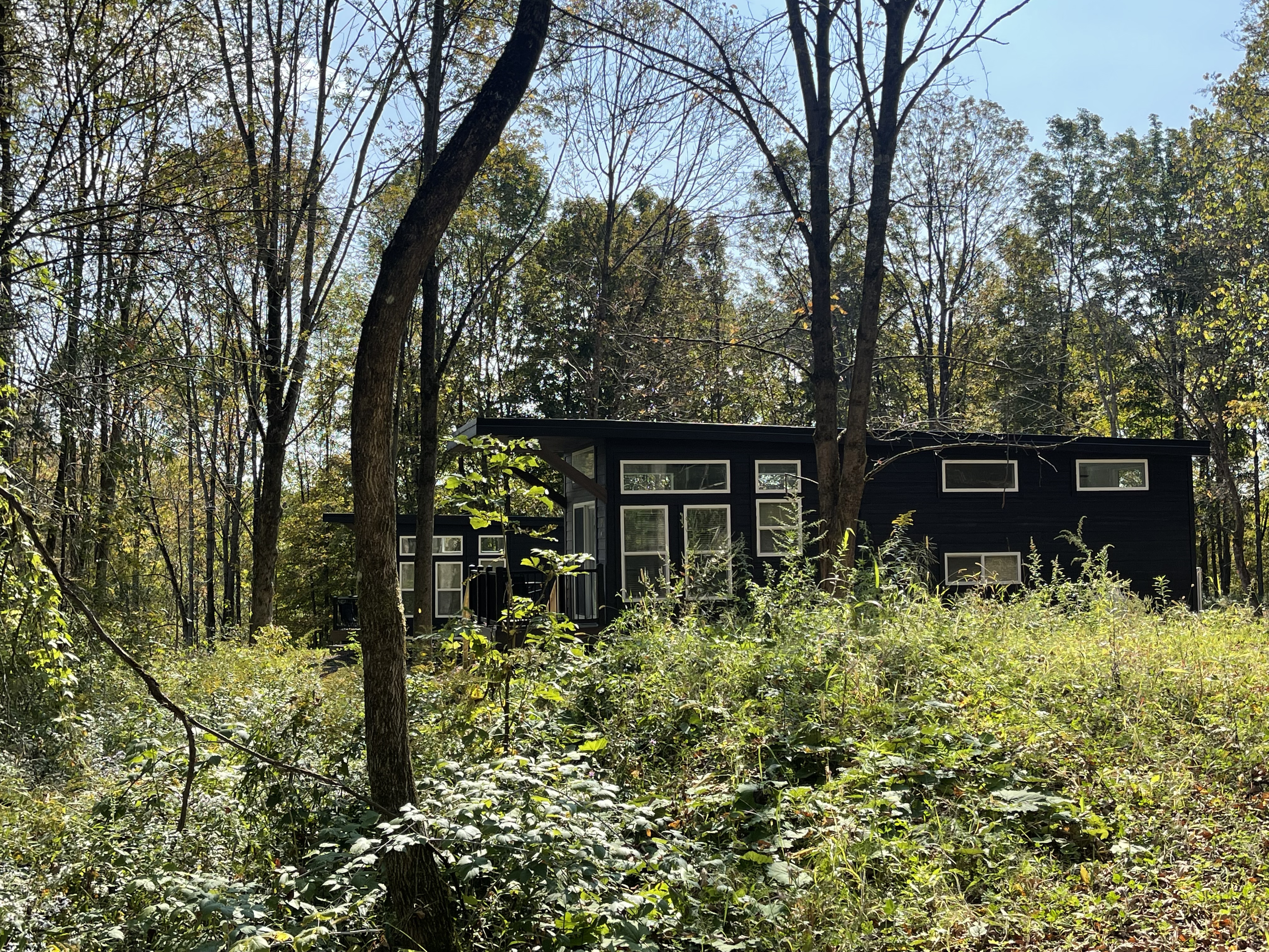 Mountainside Lodge 350