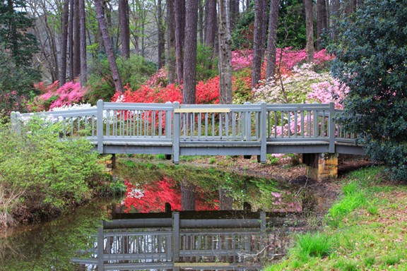 Hamilton Gardens