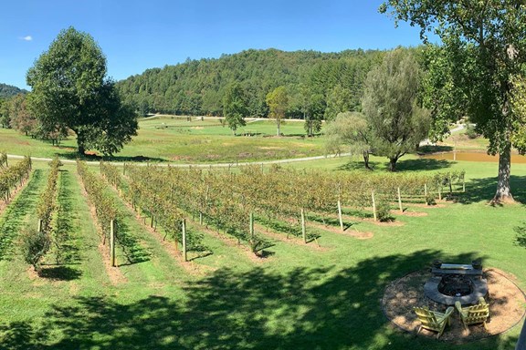Hightower Creek Vineyards