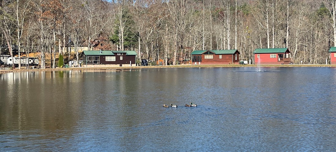 Hiawassee, Georgia Lodging | Hiawassee KOA Holiday