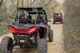 Bear Bogging Adventure Tours