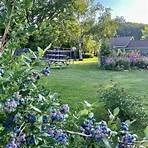 Cain's Orchard