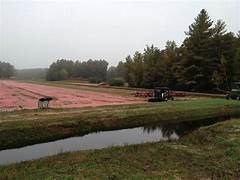 The Wisconsin Cranberry Discovery Center
