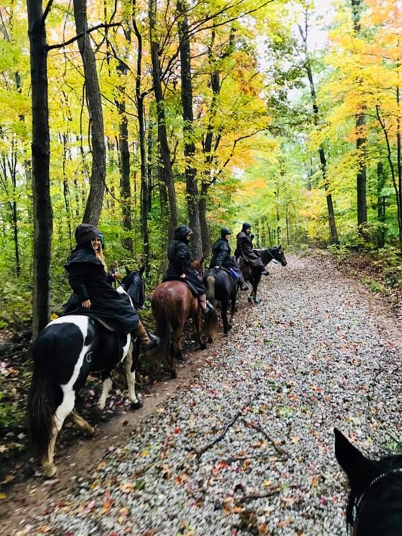 Hocking Hills Horse Rides
