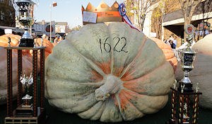 Circleville Pumpkin Show Photo