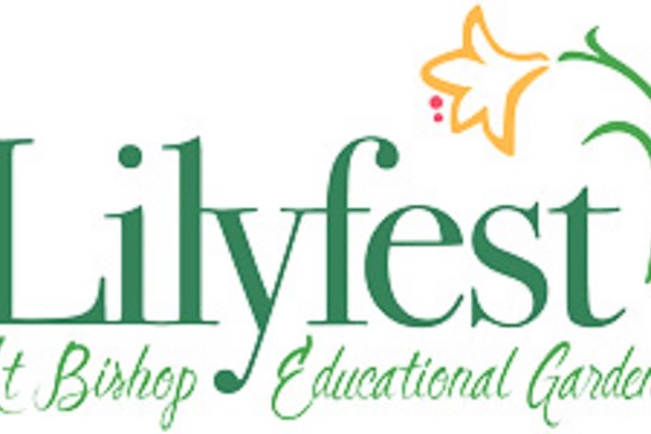 Lilyfest Photo