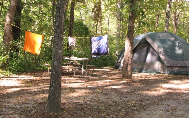 Primitive Tent Site