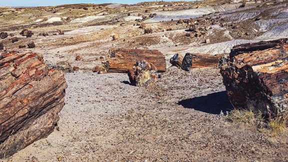 Petrified Forest National Park including portions of the Painted Desert