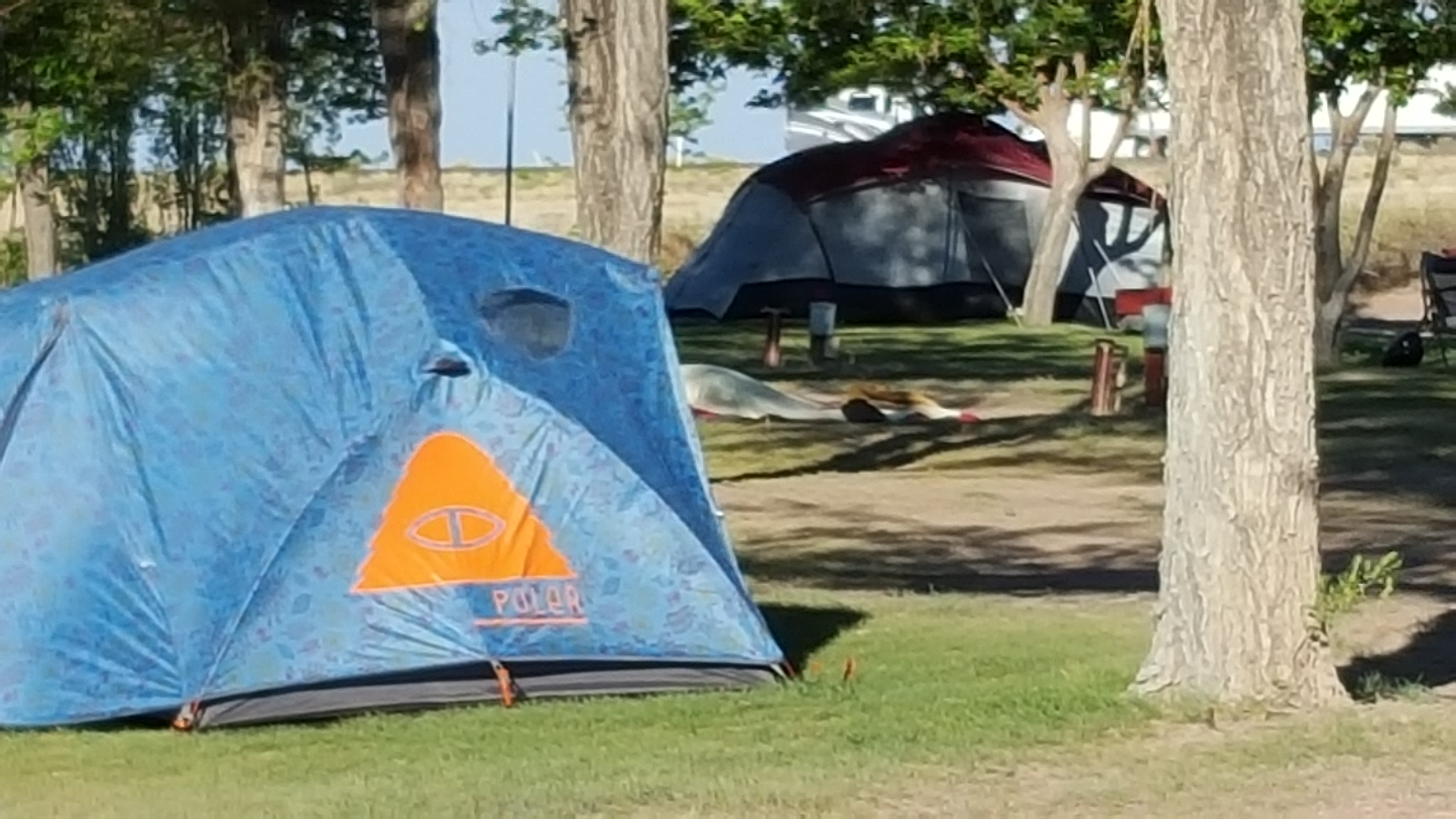 Holbrook, Arizona Tent Camping Sites Holbrook / Petrified Forest KOA