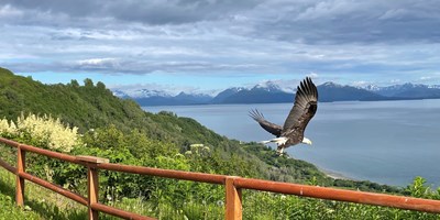 3 Days in Homer, Alaska: A Guide from your KOA Hosts
