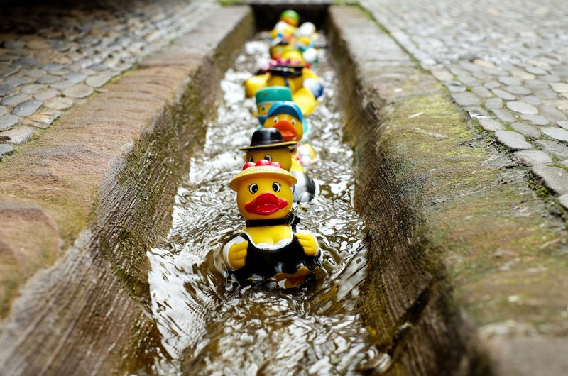 JULY 31 TO AUGUST 3 HONESDALE DUCK DERBY Photo