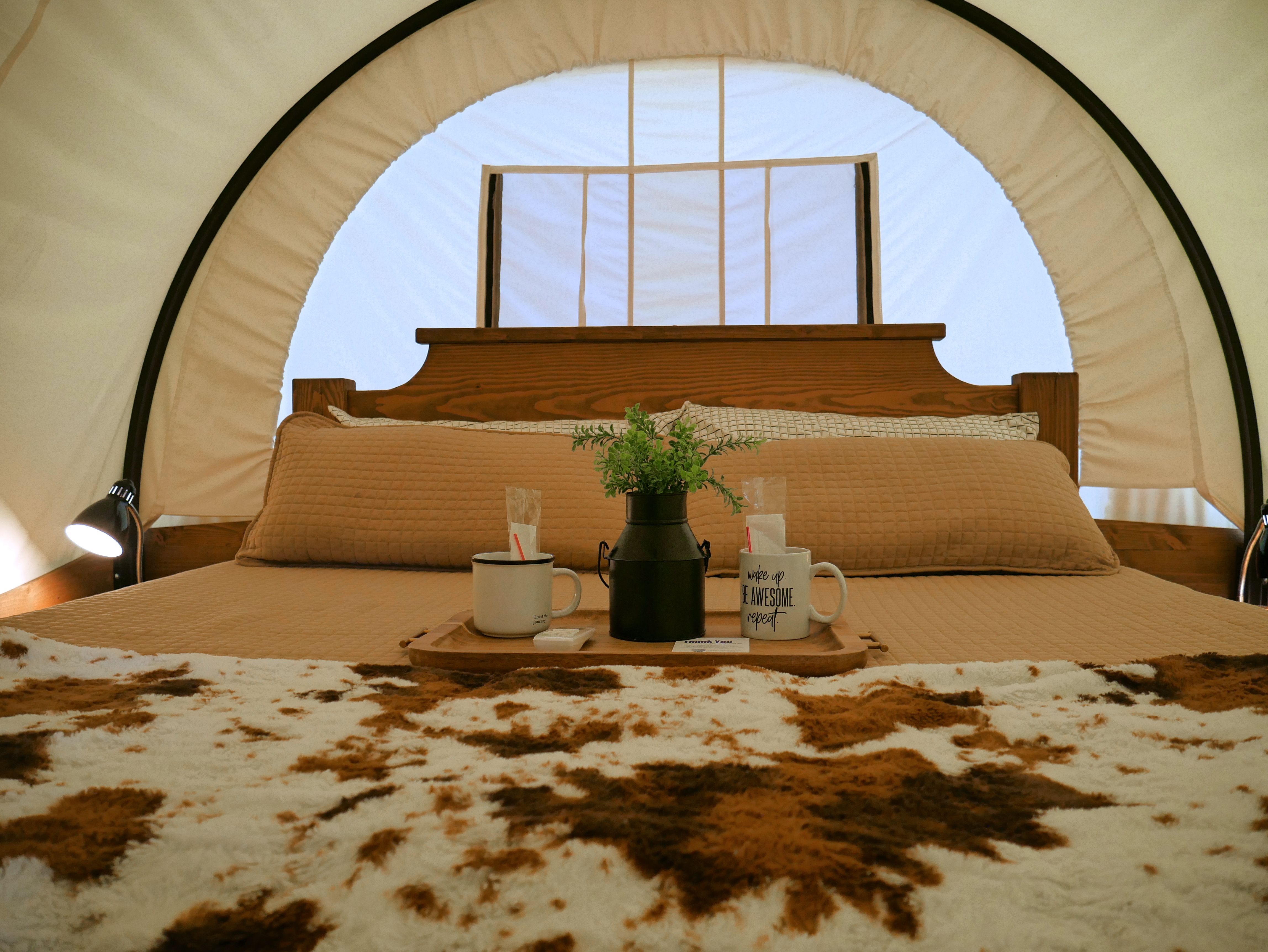 Horse Cave, Kentucky Lodging Horse Cave KOA Holiday