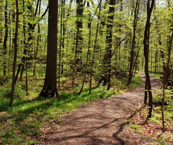 Hiking Trail