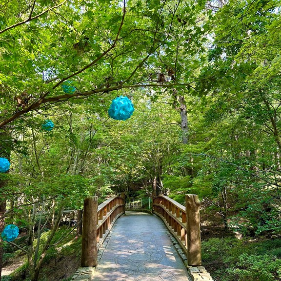 Garvan Woodland Gardens