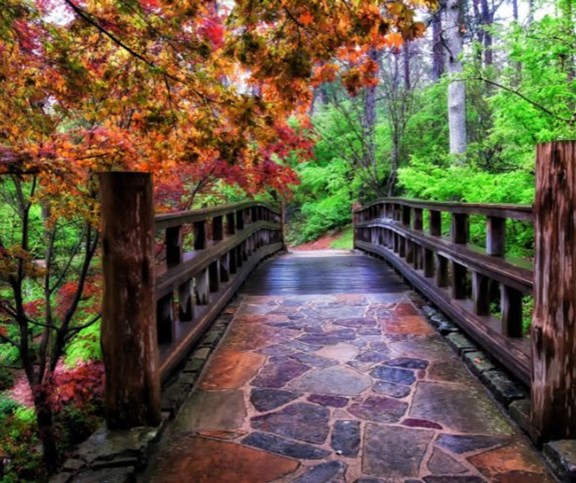 Garvan Woodland Gardens