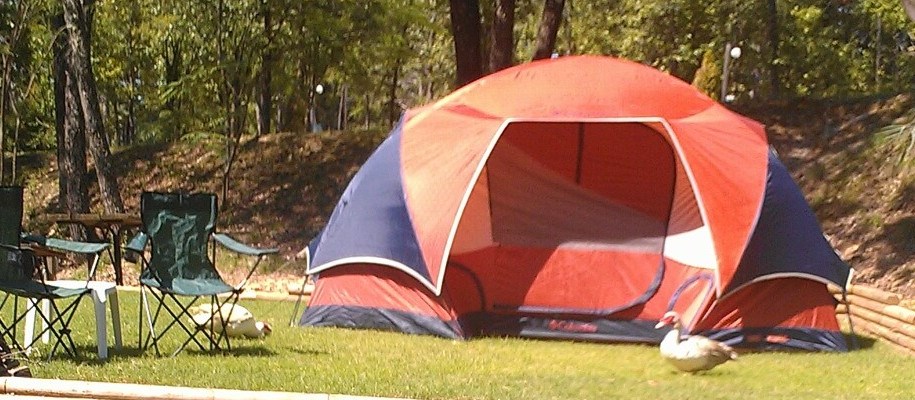 Tent camping shop with electricity near