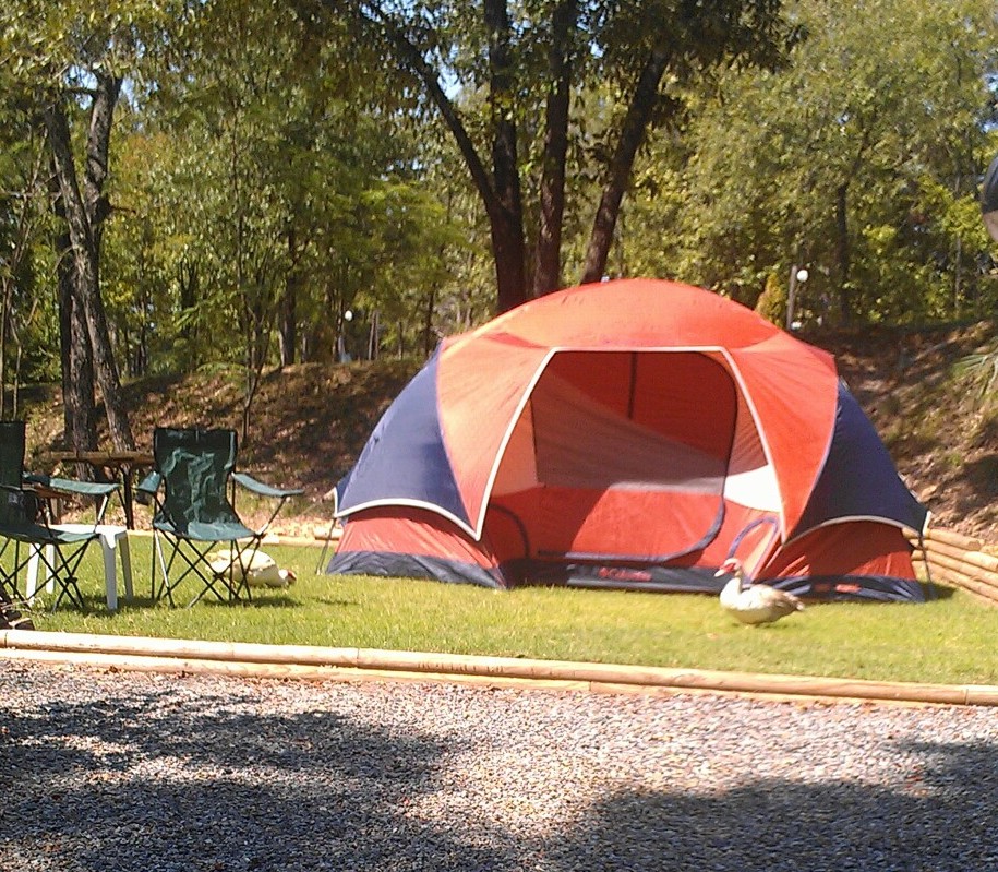 Hot Springs, Arkansas Tent Camping Sites Hot Springs National Park