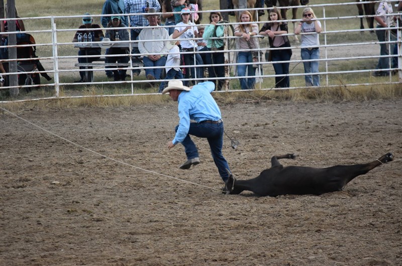 110th FALL RIVER COUNTY FAIR in Edgemont, SD Event at the Hot Springs