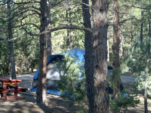 Tent Site W/ Electric