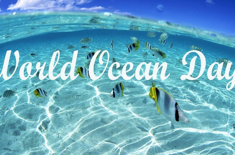 World Ocean Day Weekend Photo