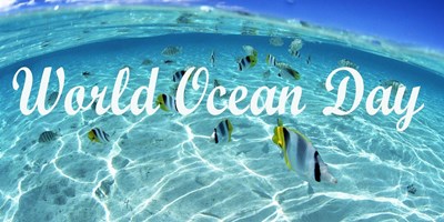 World Ocean Day Weekend