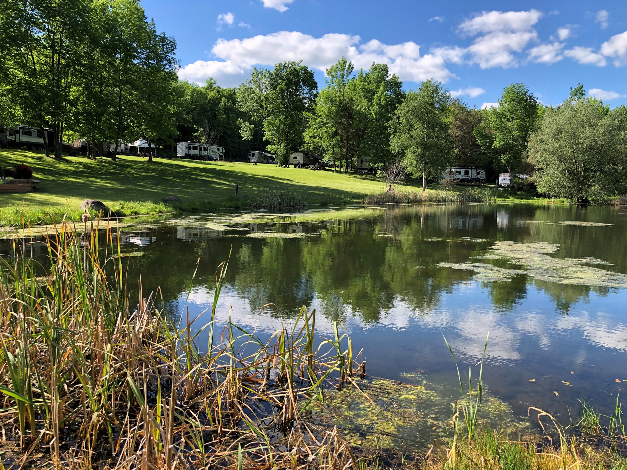 Houghton, New York RV Camping Sites Houghton / Letchworth KOA Holiday
