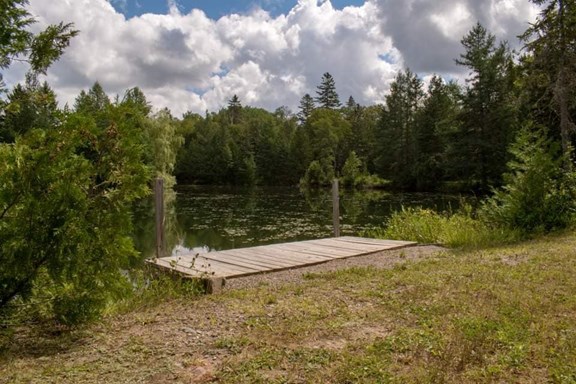 Walking Trails