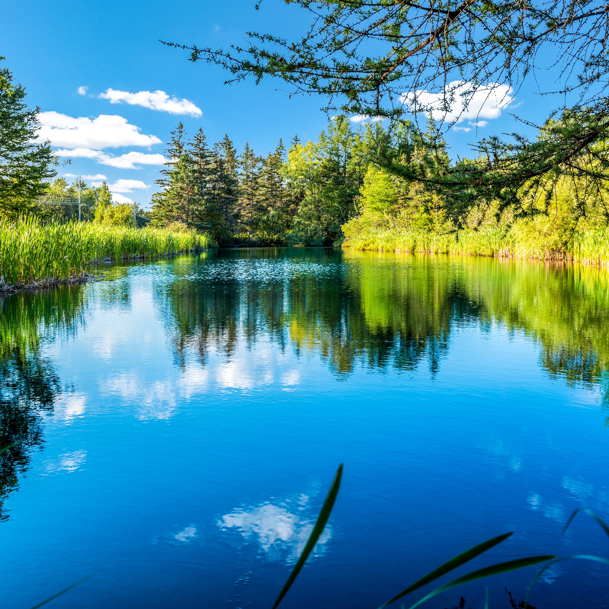 Best Family Friendly Northern Maine Campground Houlton KOA