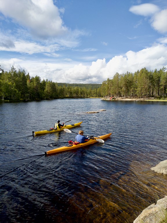 Kayak