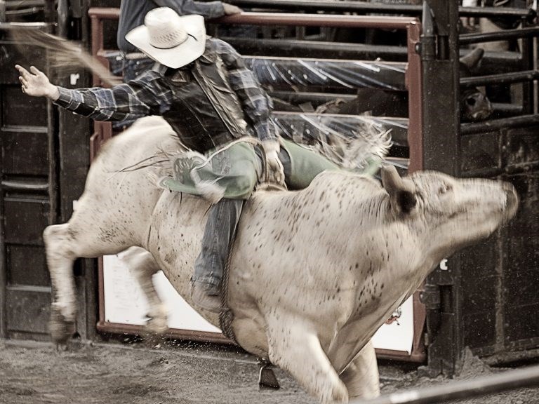 Saddle Up for Fun: Your Home Base at Houston/Med Center KOA