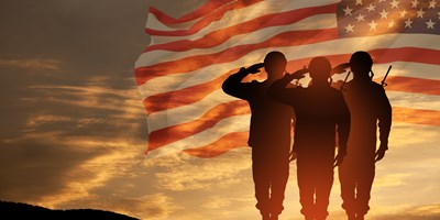 Veterans Day Salute