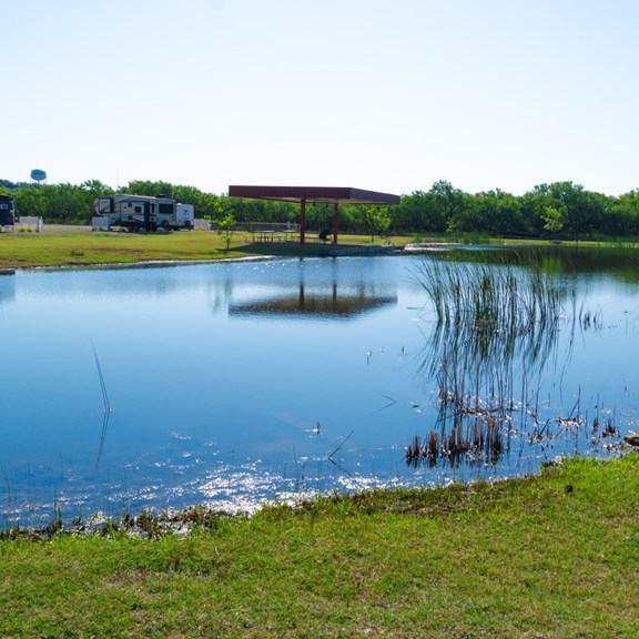 Pond for fishing