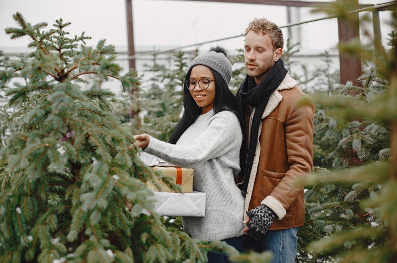 Annual Christmas Tree Farm Photo