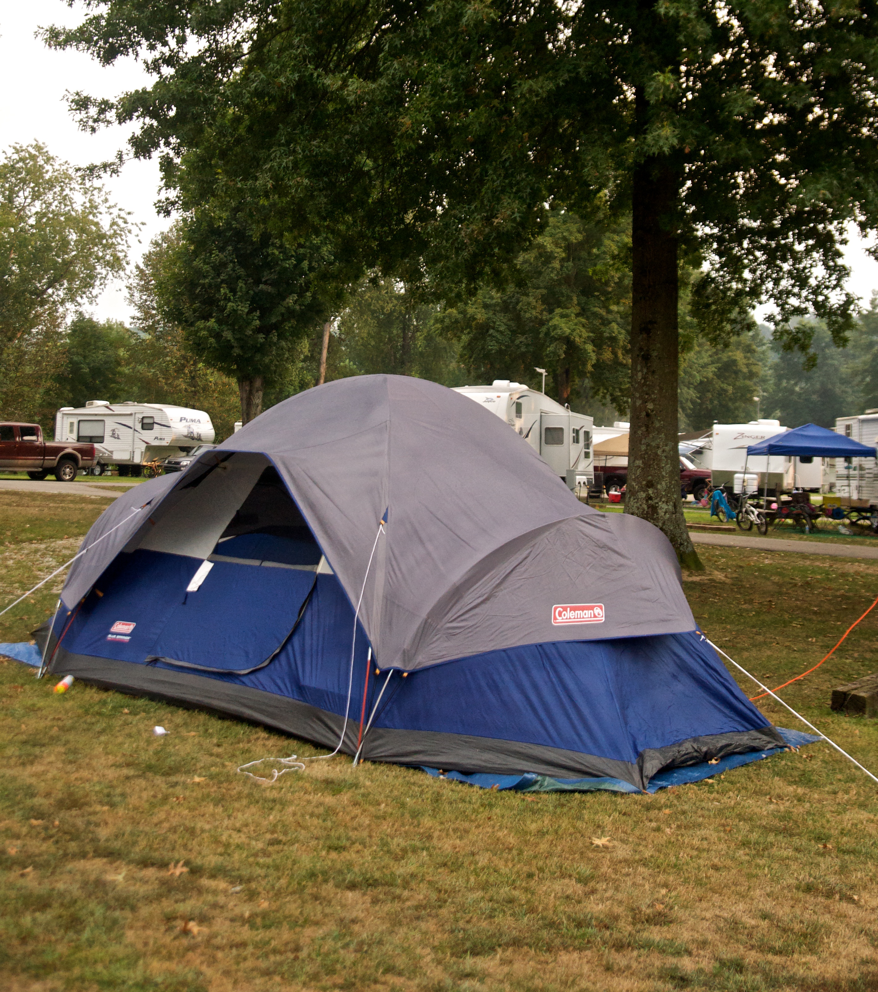 Tent on our grassy sites