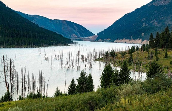 Earthquake Lake