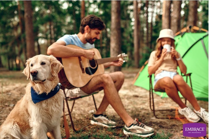 The Only Guide You Need For Camping With Dogs