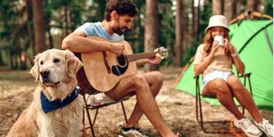 The Only Guide You Need For Camping With Dogs