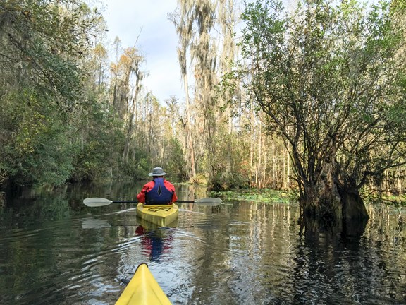 Play on the Water