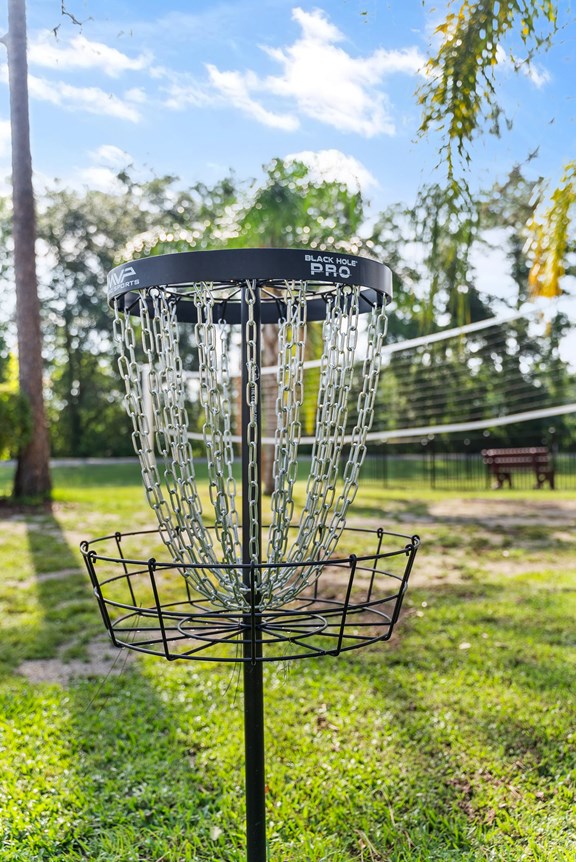 Volleyball and Disc Golf