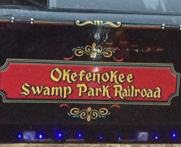 Okefenokee Swamp Annual Light Show
