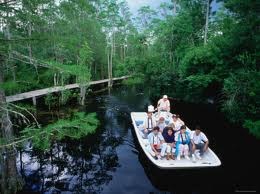 Boat Tours Of The Gator Filled Okefenokee Swamp